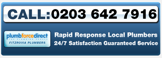 Call Today Fitzrovia Plumbers